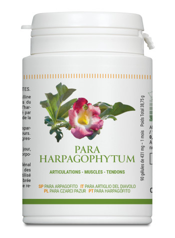 Para Harpagophytum PL430/10