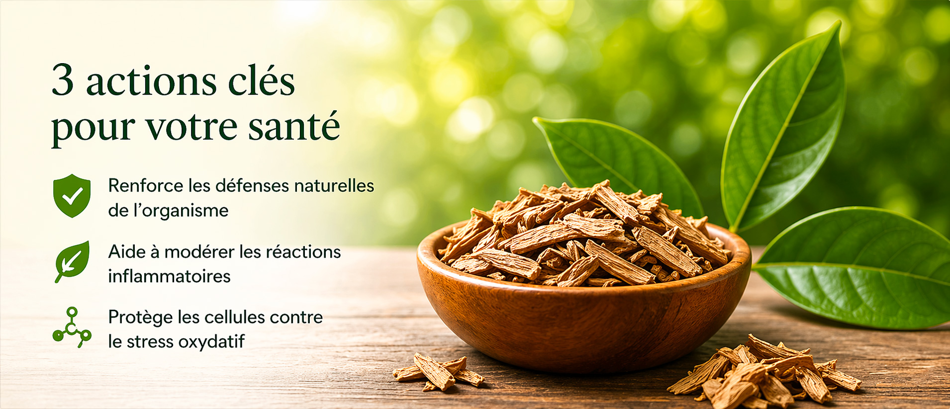 3 actions clés pour votre santé