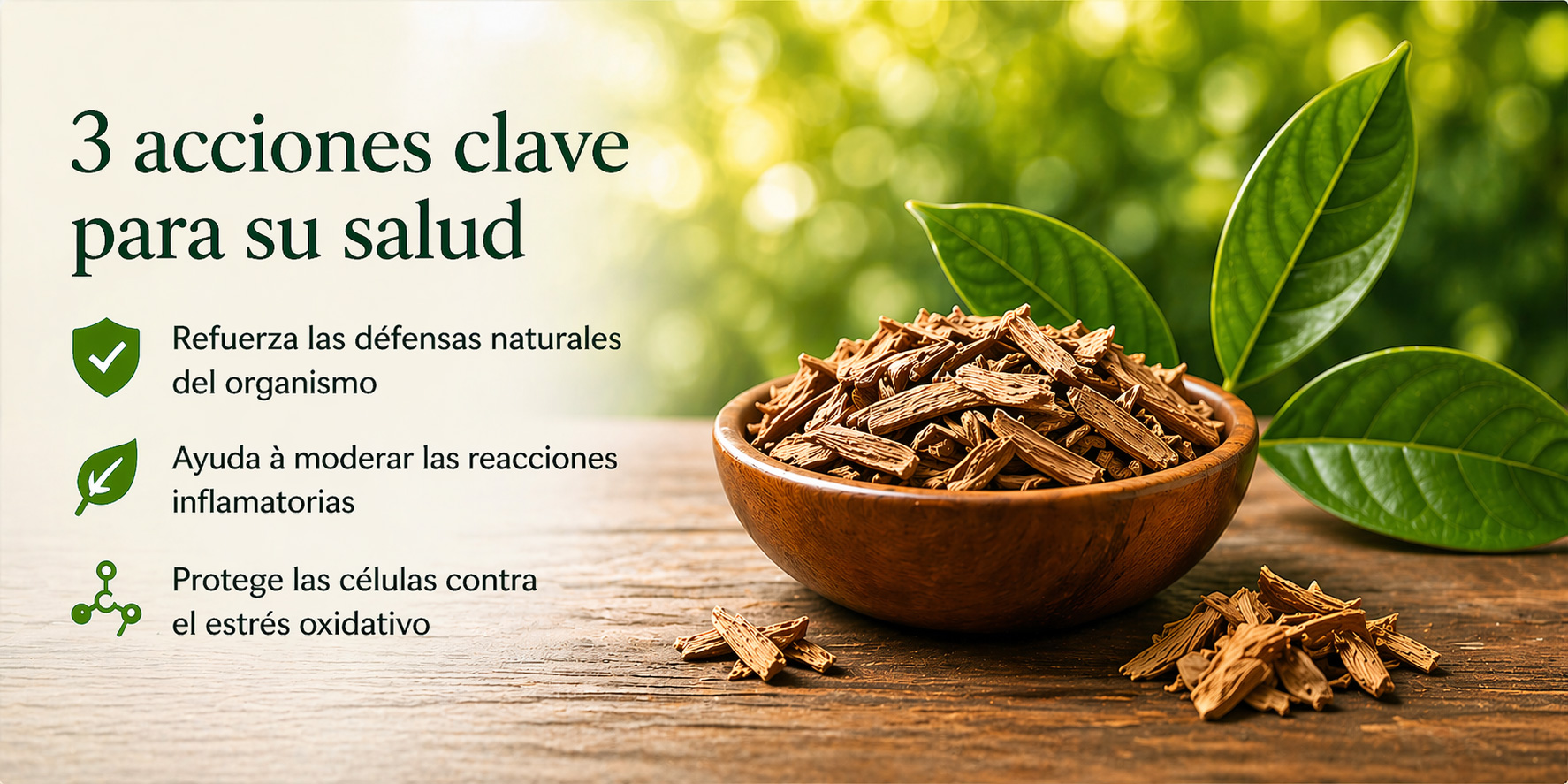 3 beneficios clave para su salud